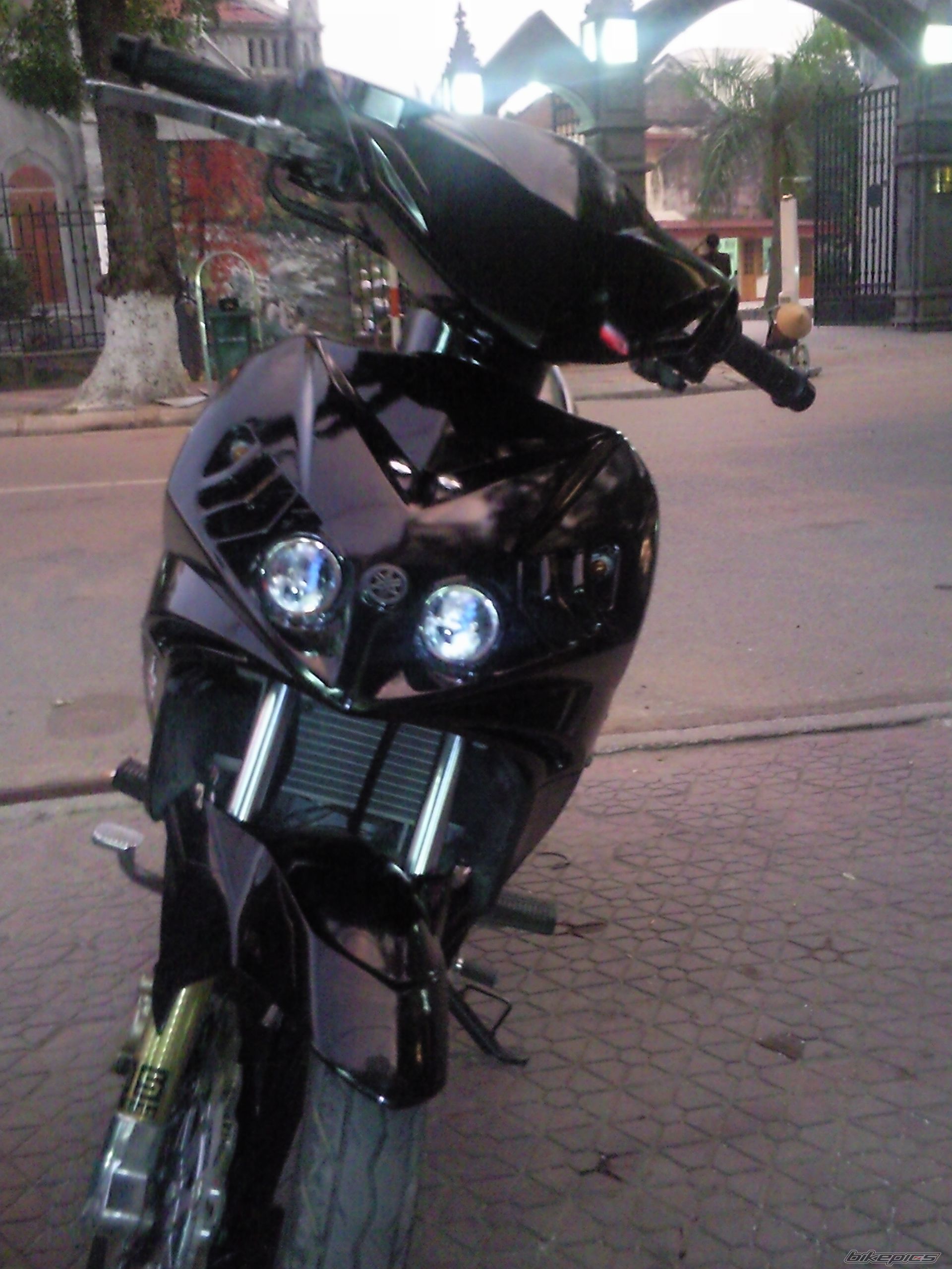 Photo 1706404