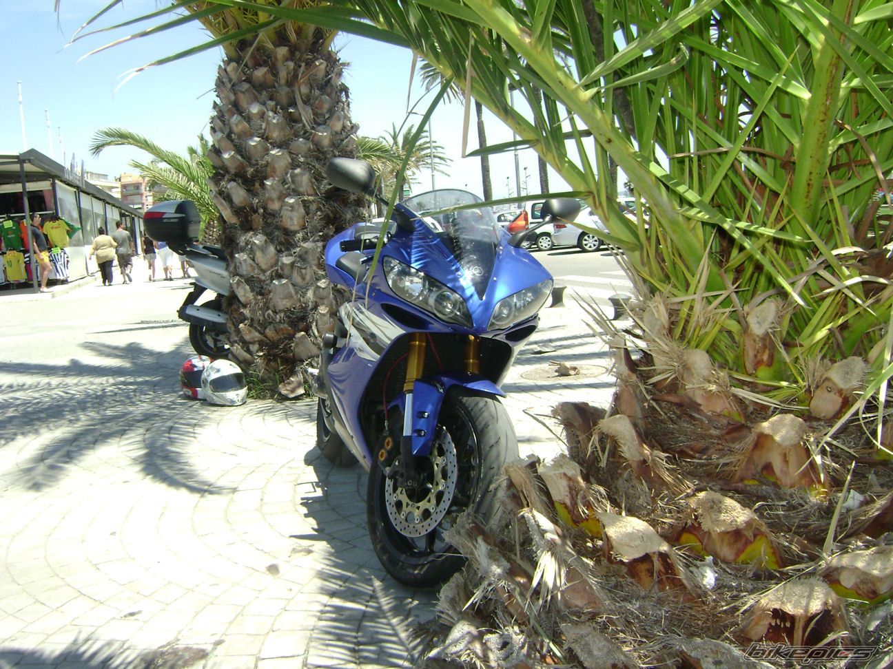 Bike Photo 1706695