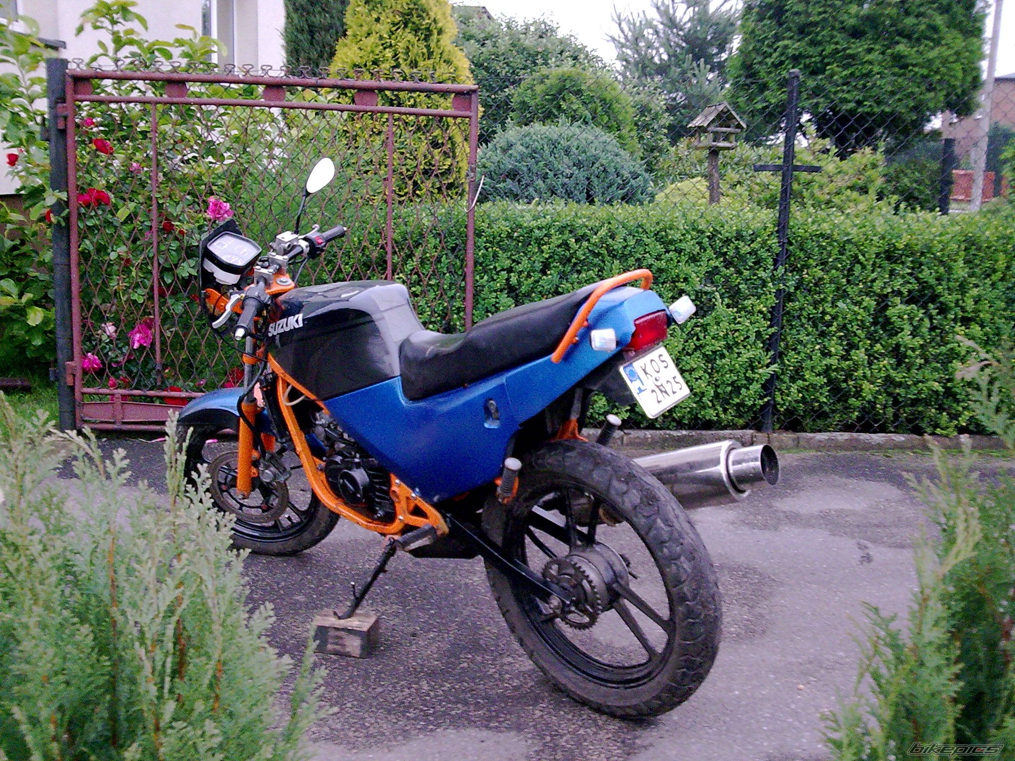 Photo 1706842