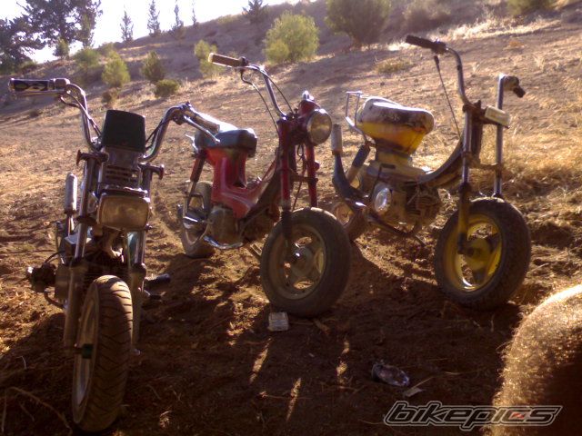 Photo 1706936