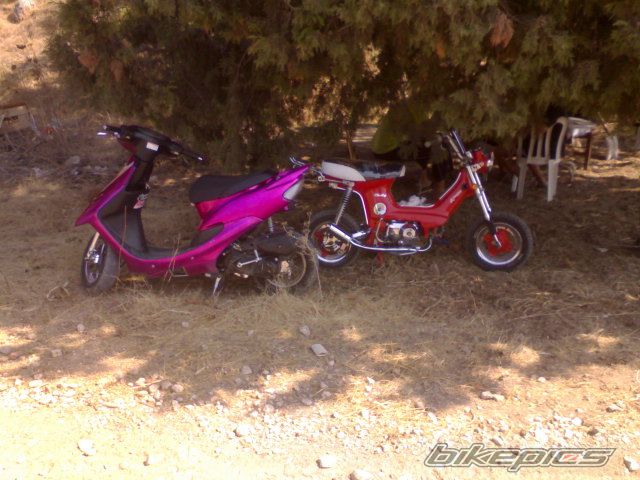 Photo 1706937