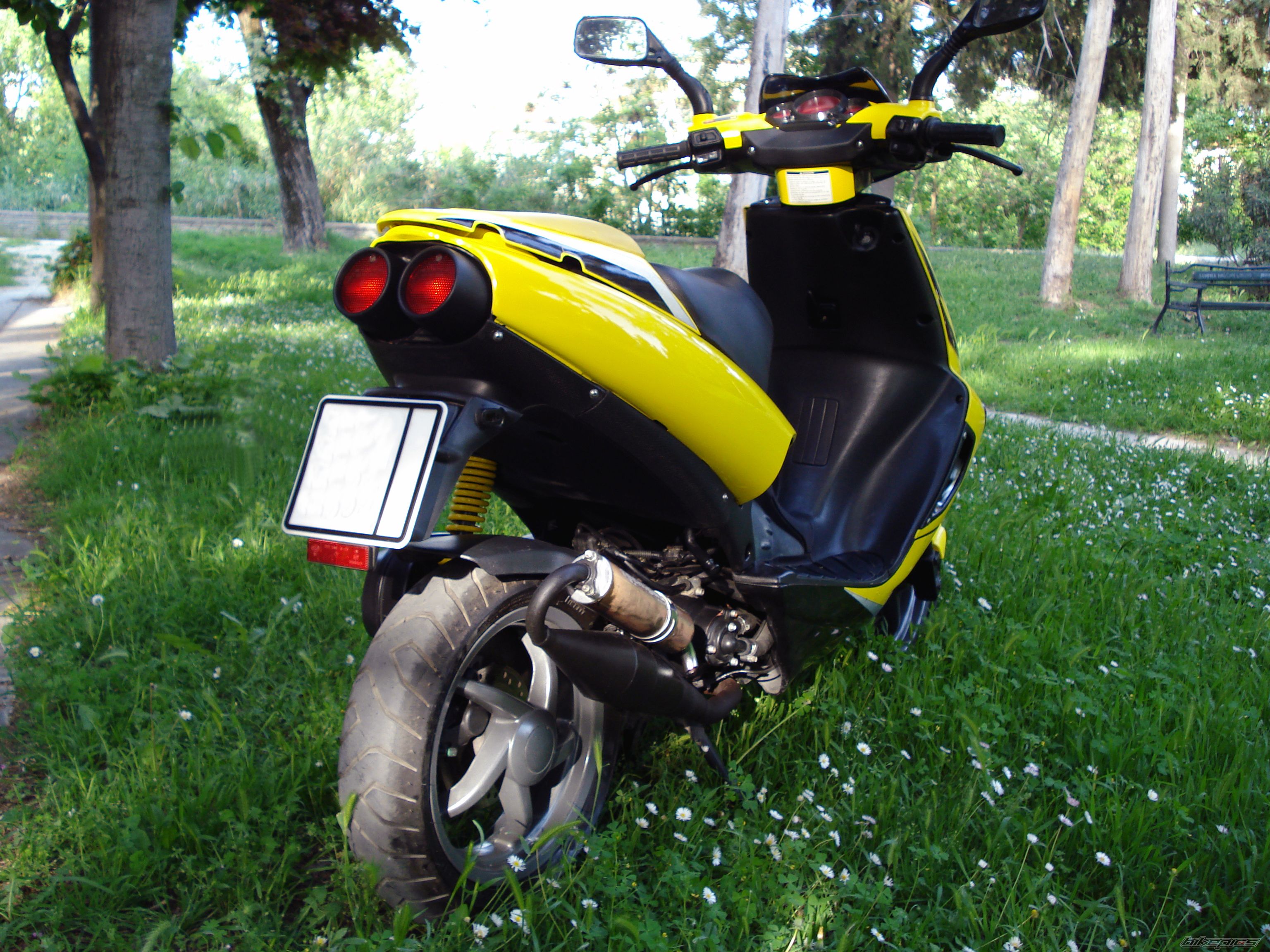 Photo 1706998