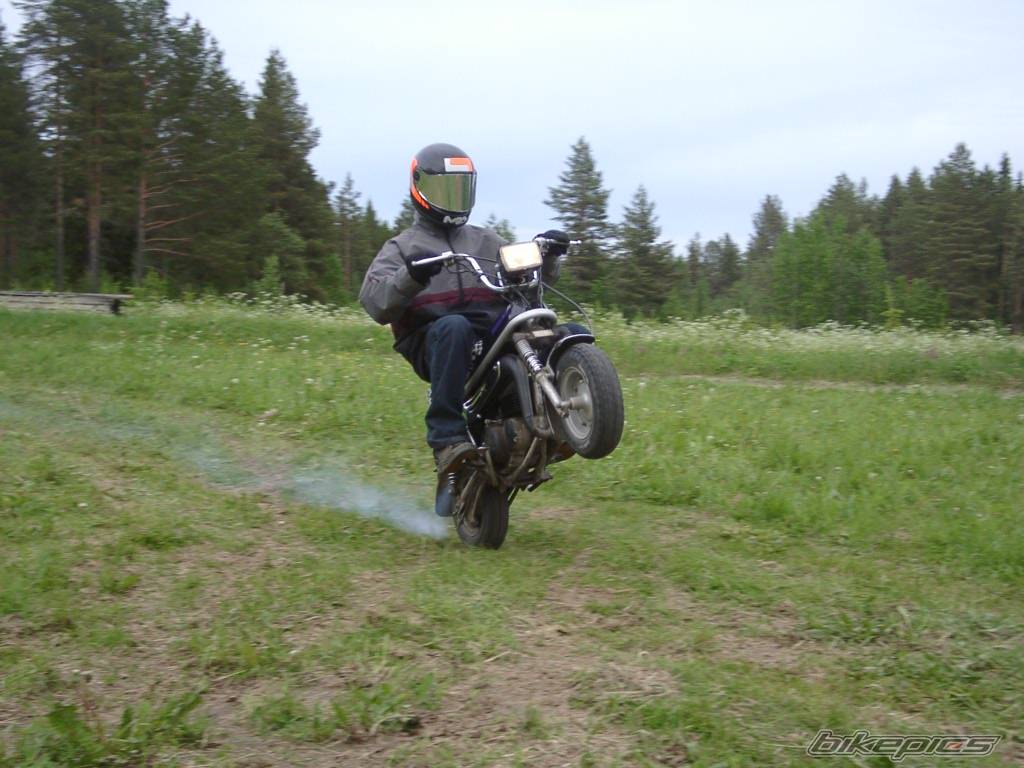 Photo 170796