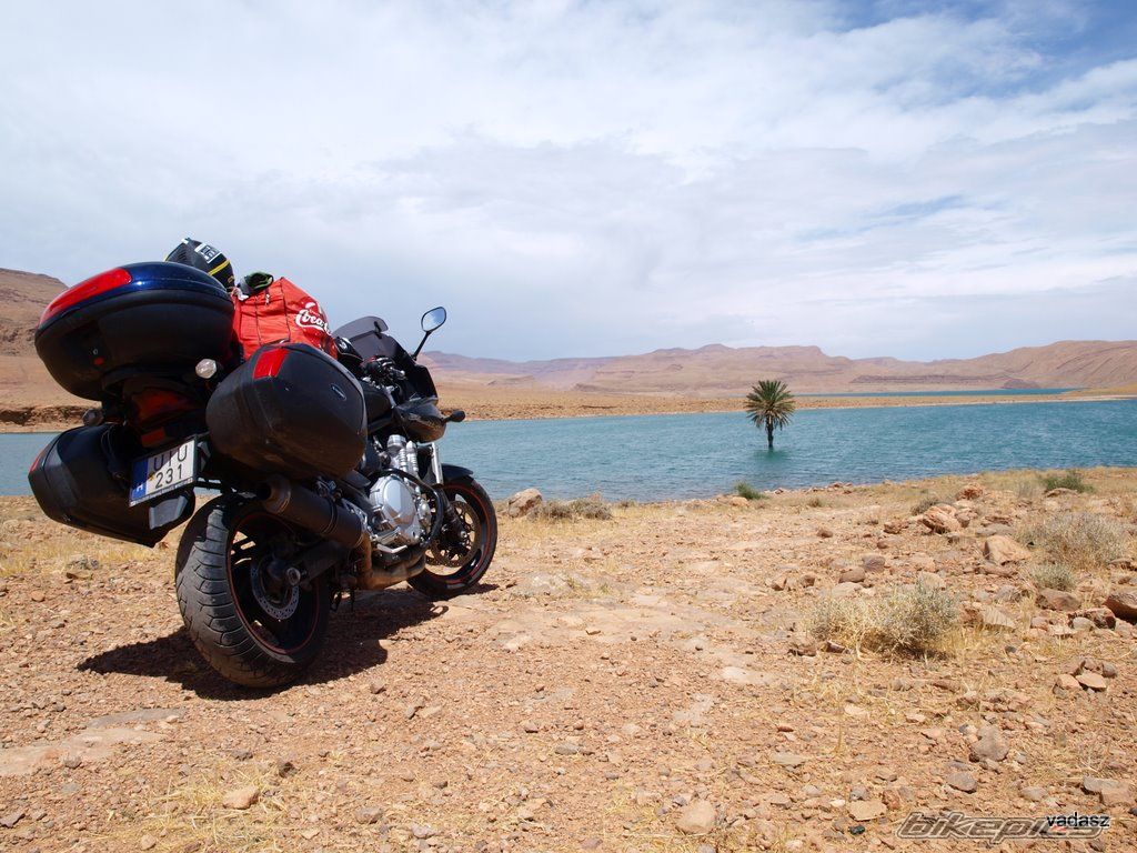 Bike Photo 1708536