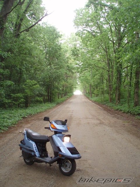 Photo 1708592