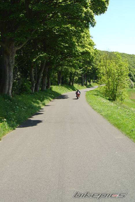 Photo 170968