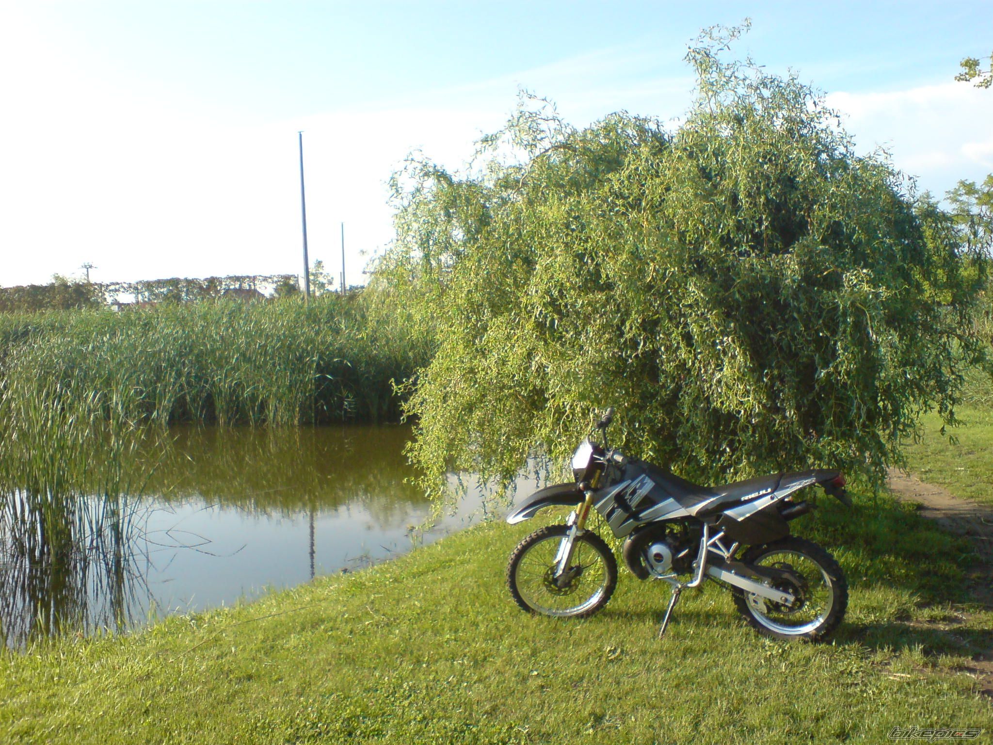 Photo 1709744