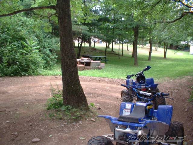 Photo 170975