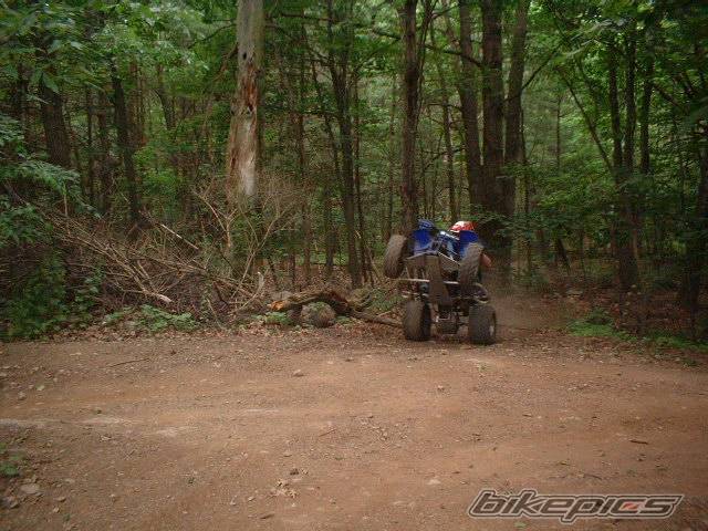 Photo 170983