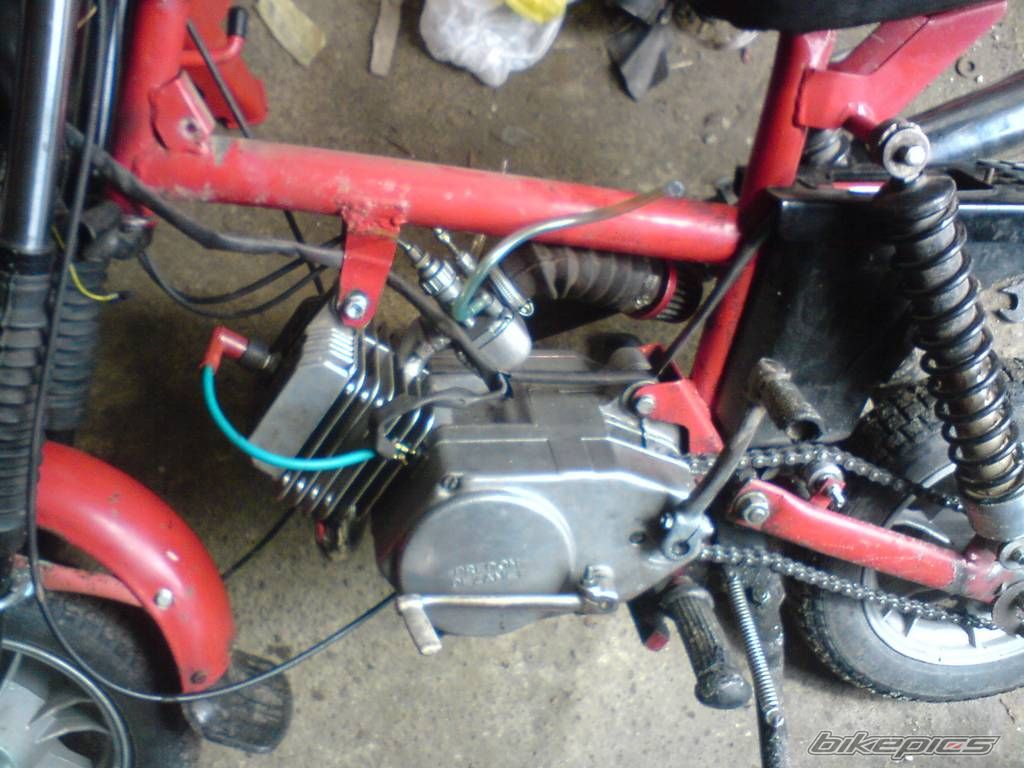 Photo 1709876