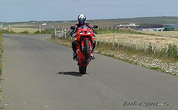 Photo 171