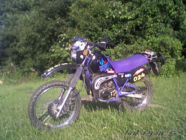 Photo 1710639
