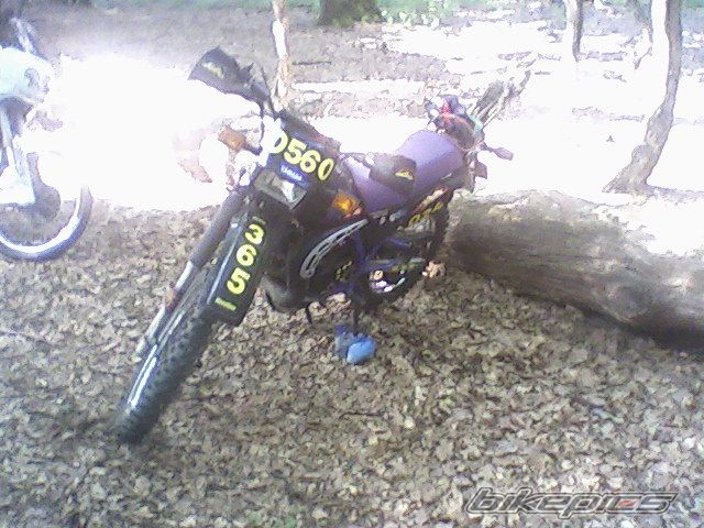 Photo 1710643