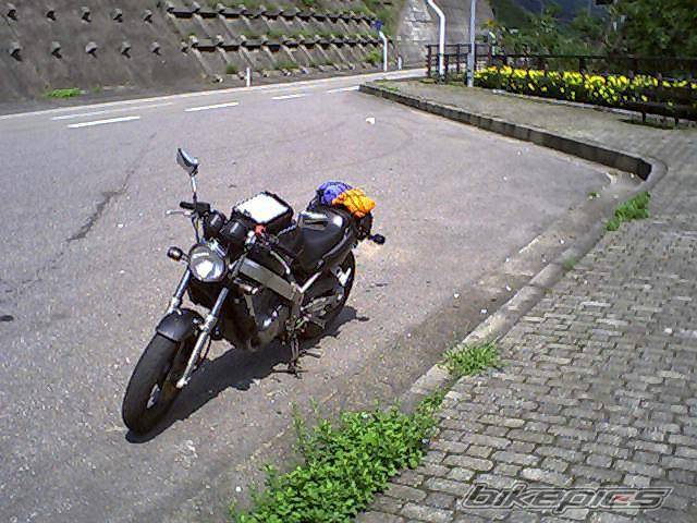 Photo 171065