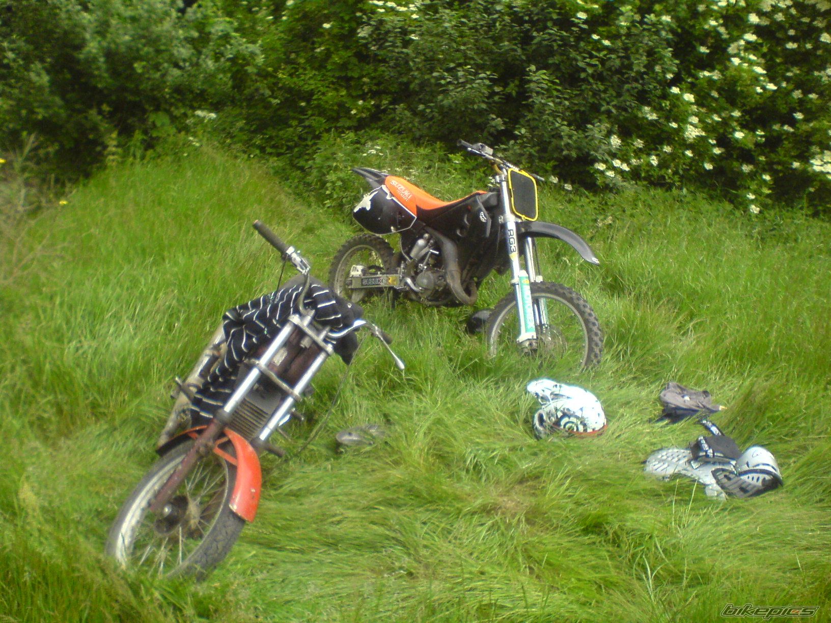 Photo 1711553