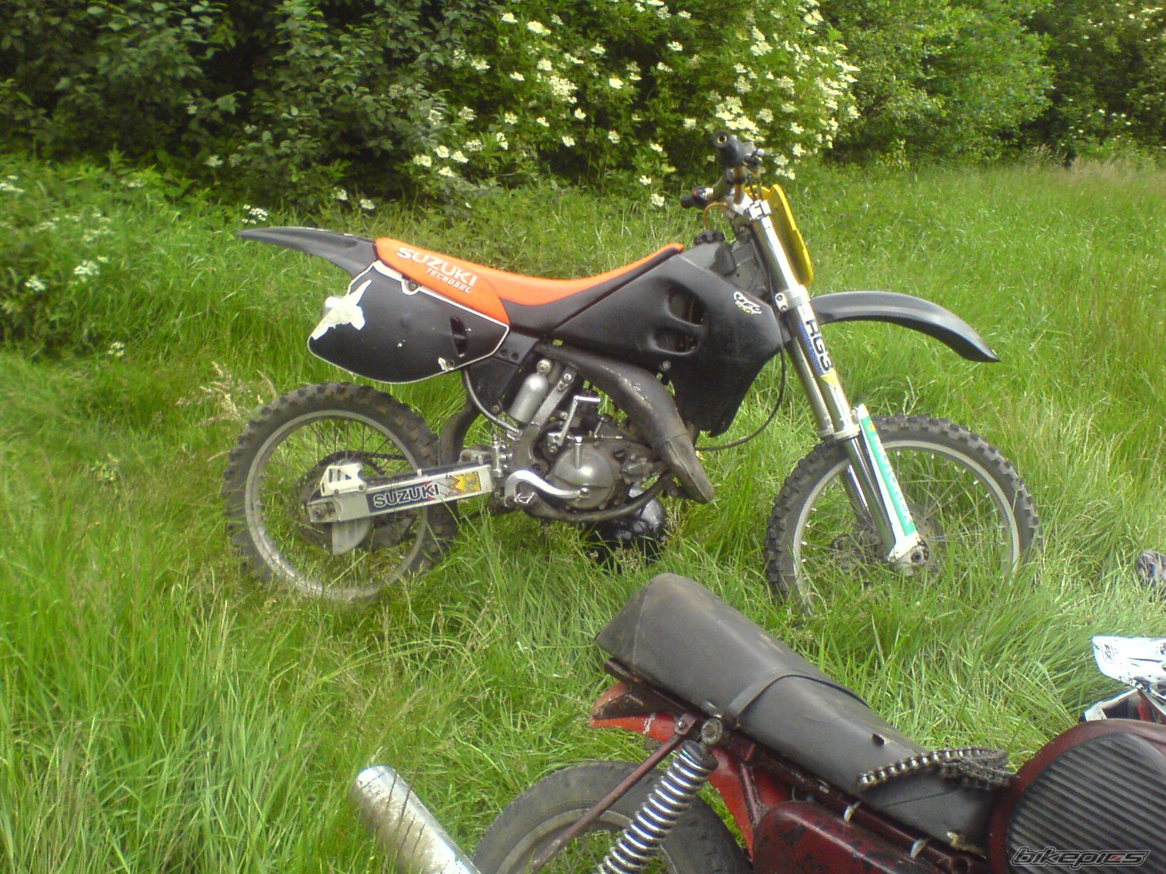 Photo 1711554
