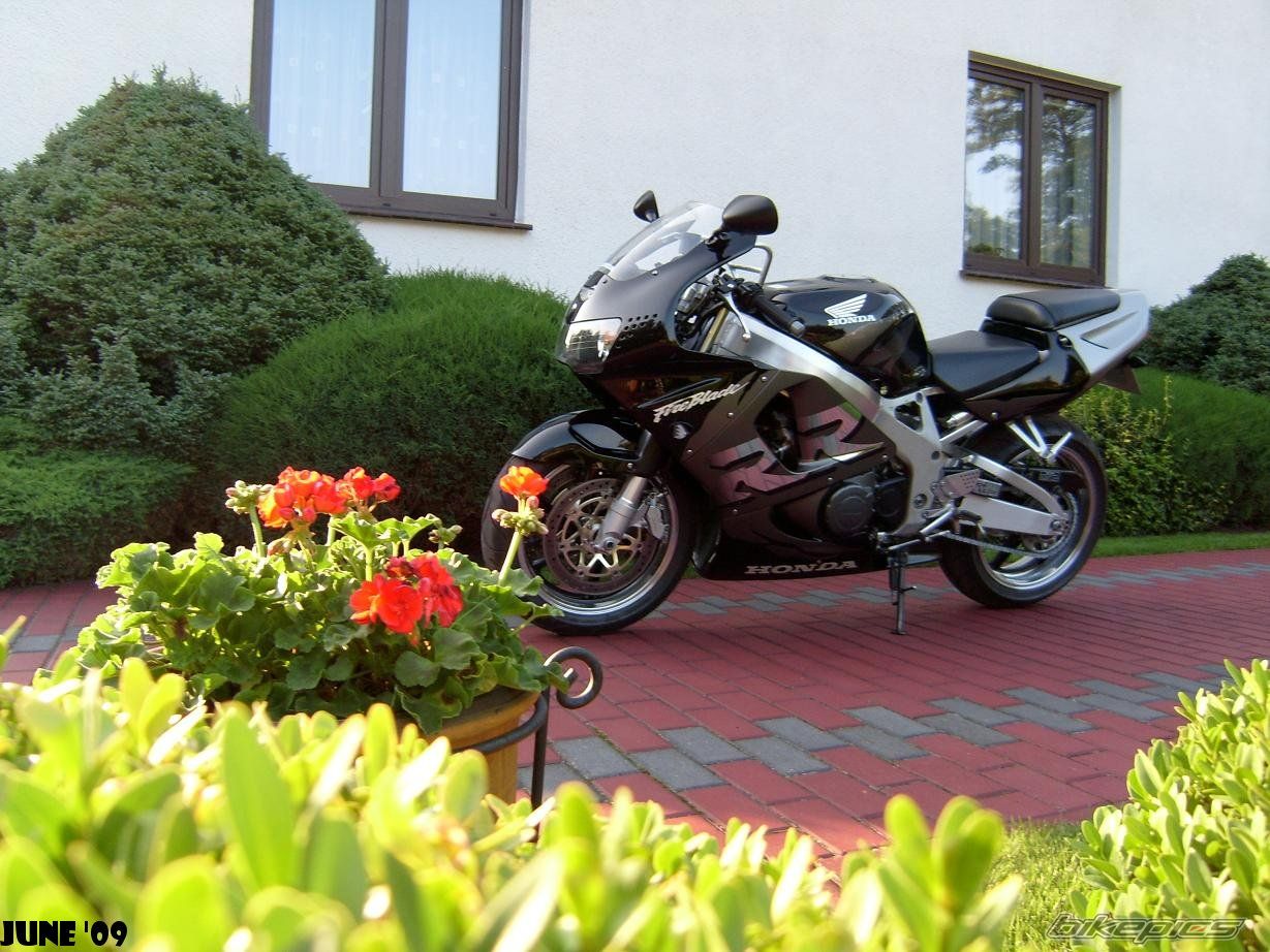 Bike Photo 1711583