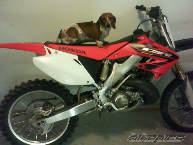 Photo 1711584