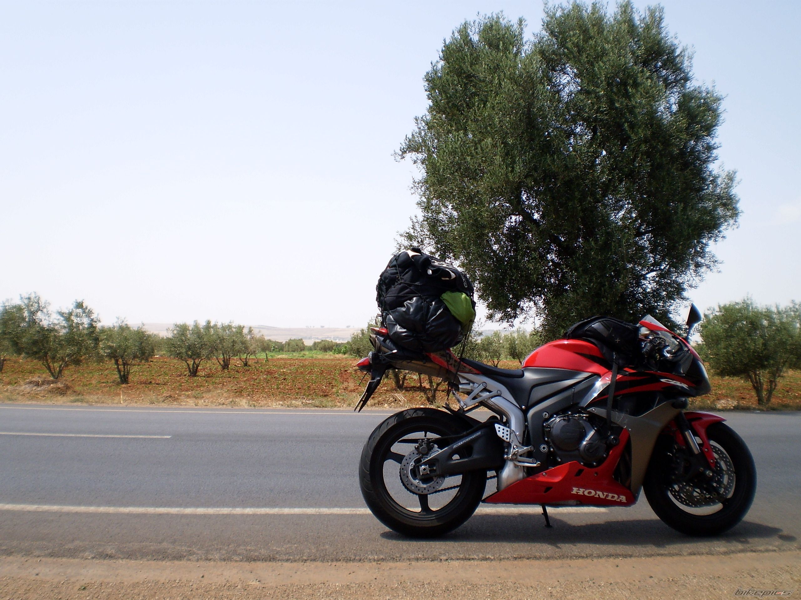Bike Photo 1711599