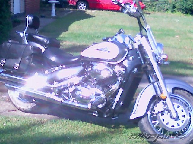 Photo 1711639