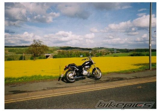Photo 1712096