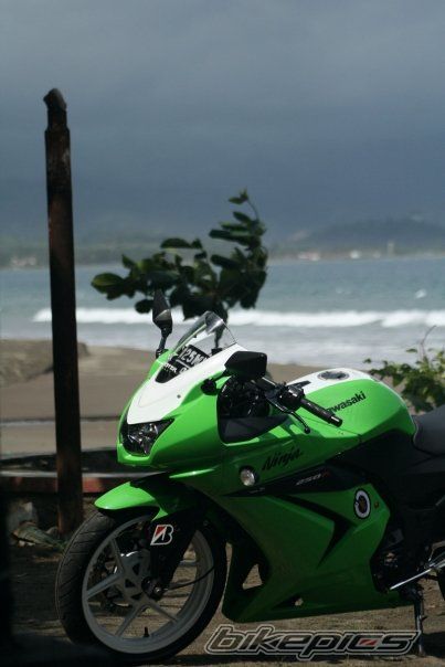Photo 1712428