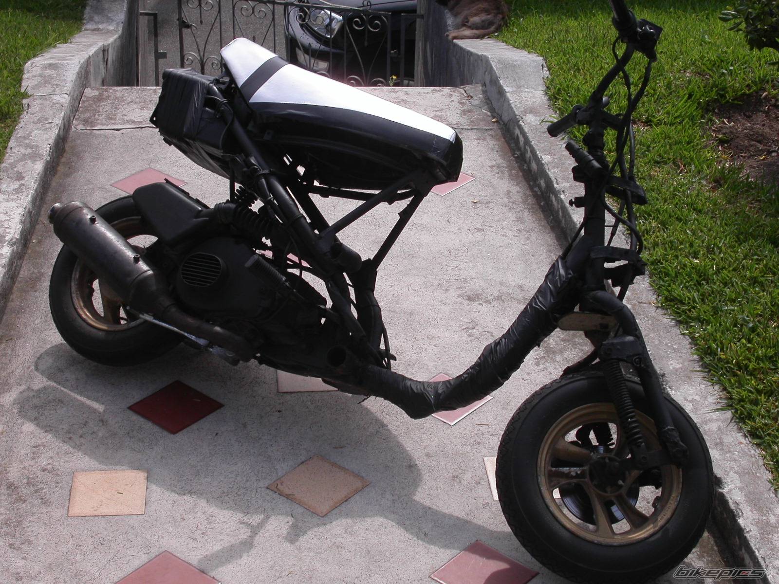 Photo 171244