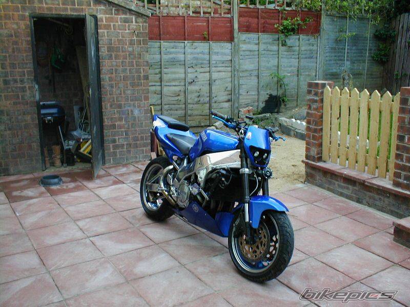 Photo 171253