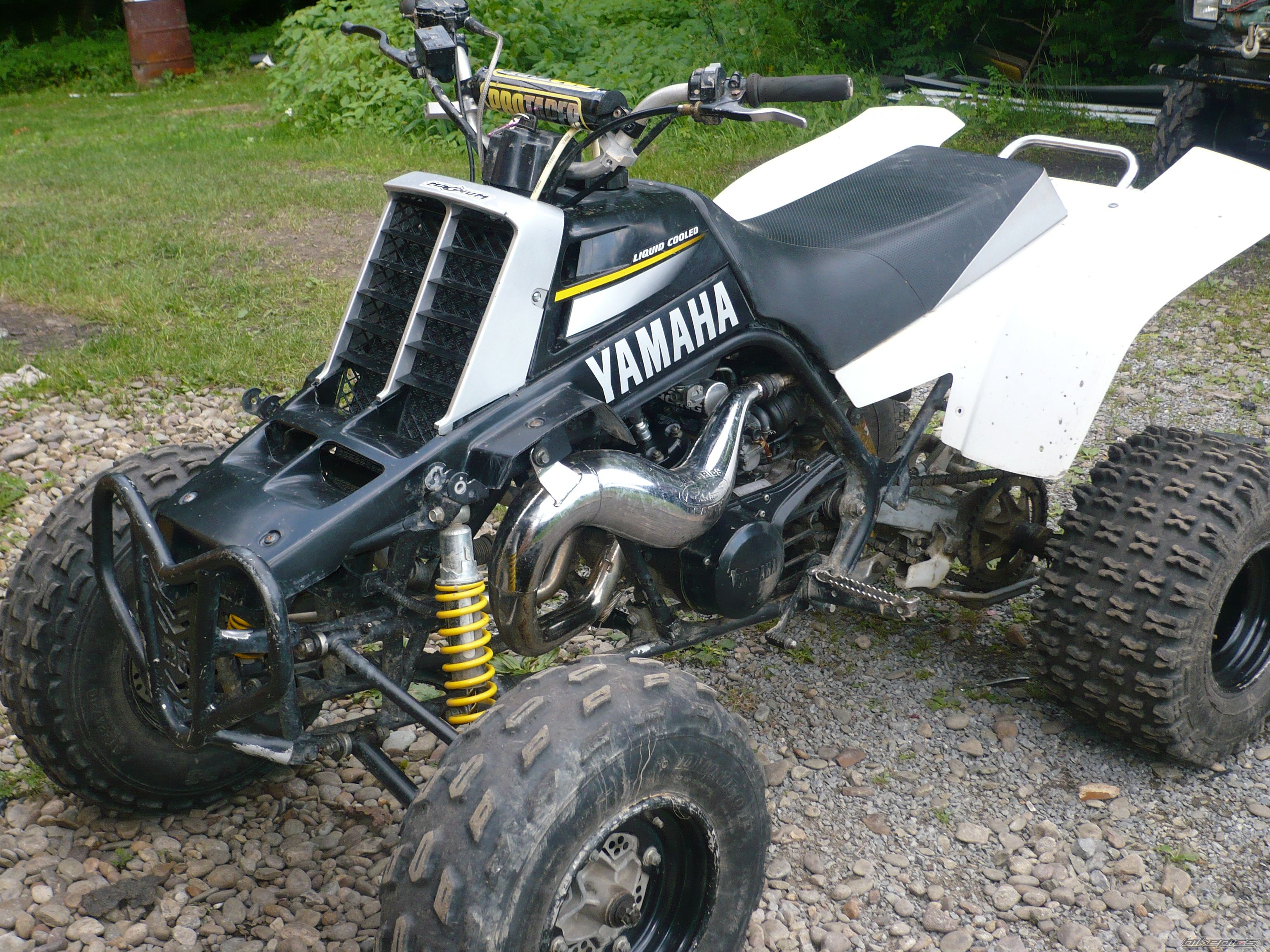 Photo 1712784