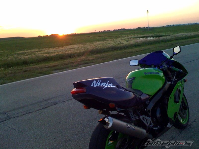 Photo 1712980