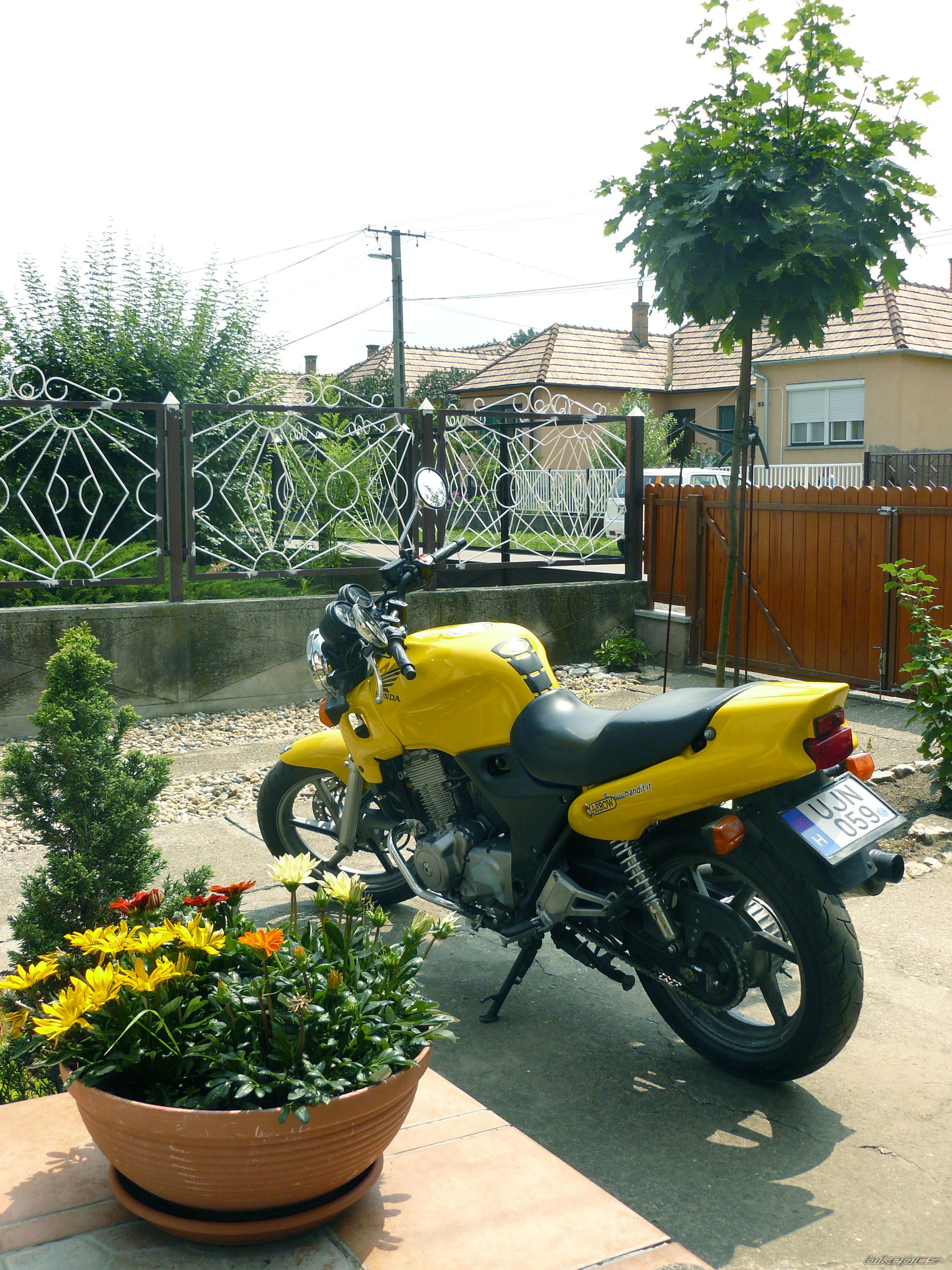 Photo 1713197