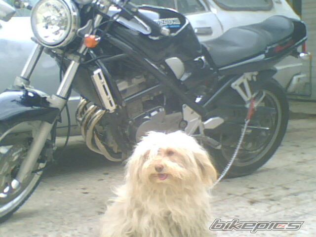 Bike Photo 1713237