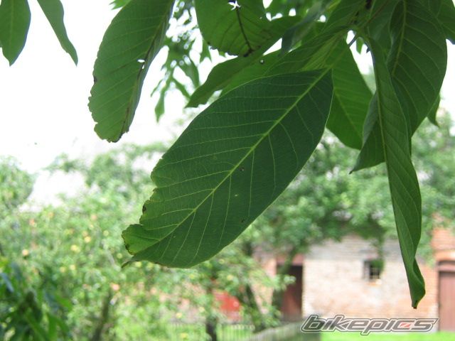 Photo 1713378