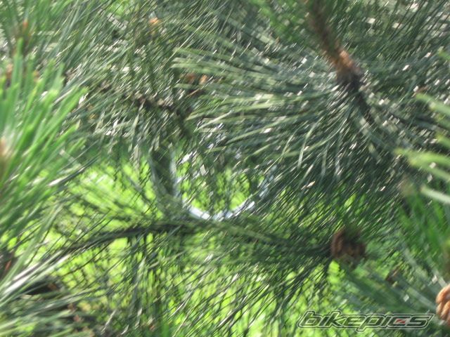 Photo 1713379