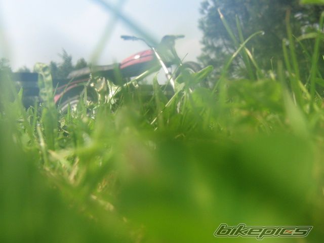 Photo 1713382