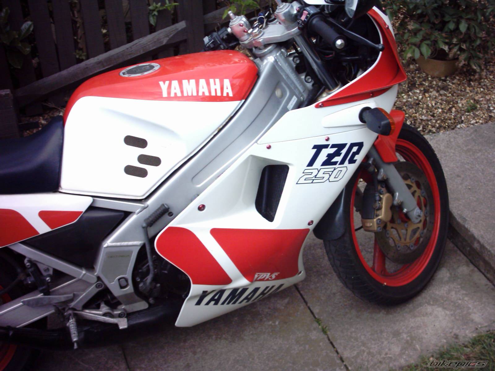 Photo 171346