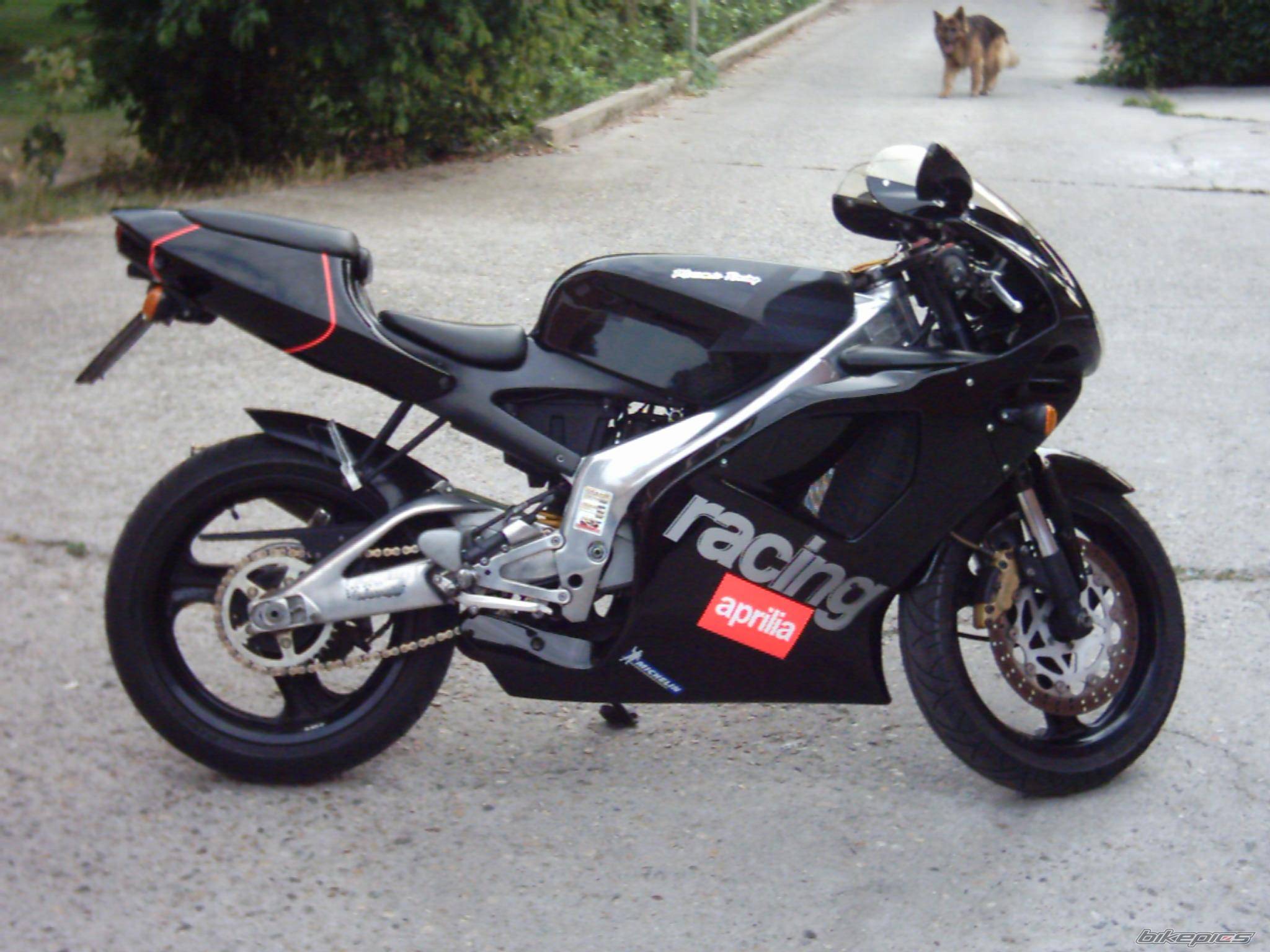 Photo 171353