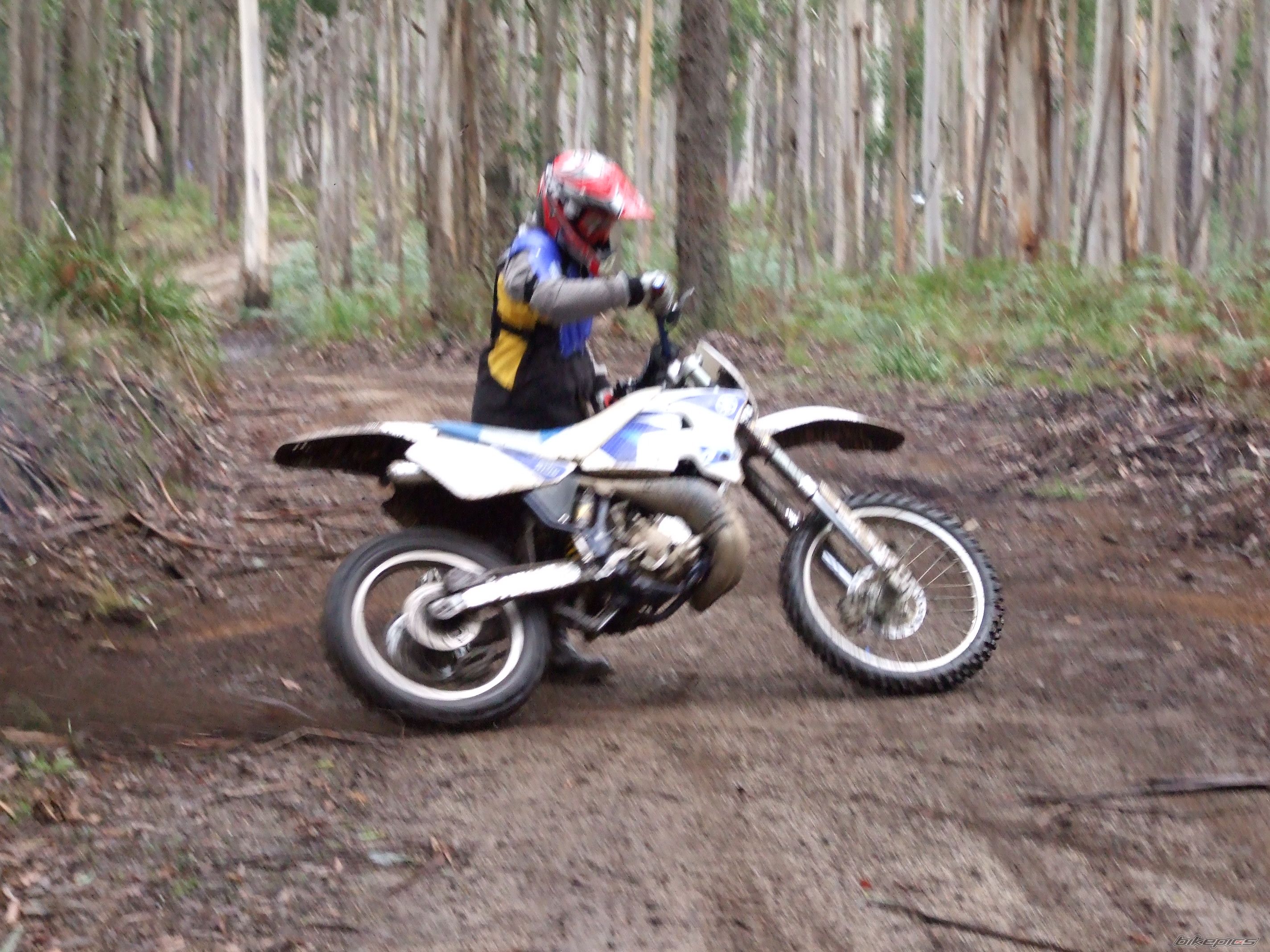 Photo 1713582