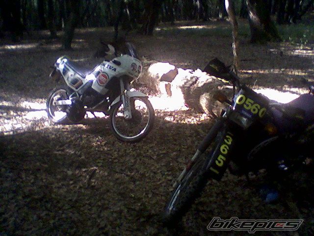 Photo 1713604