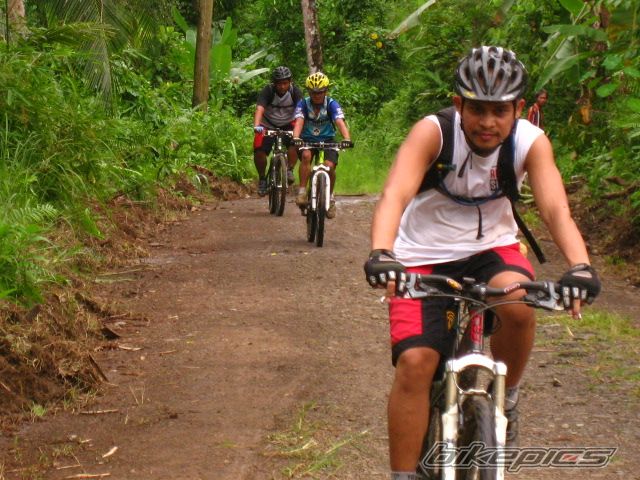 Bike Photo 1713611
