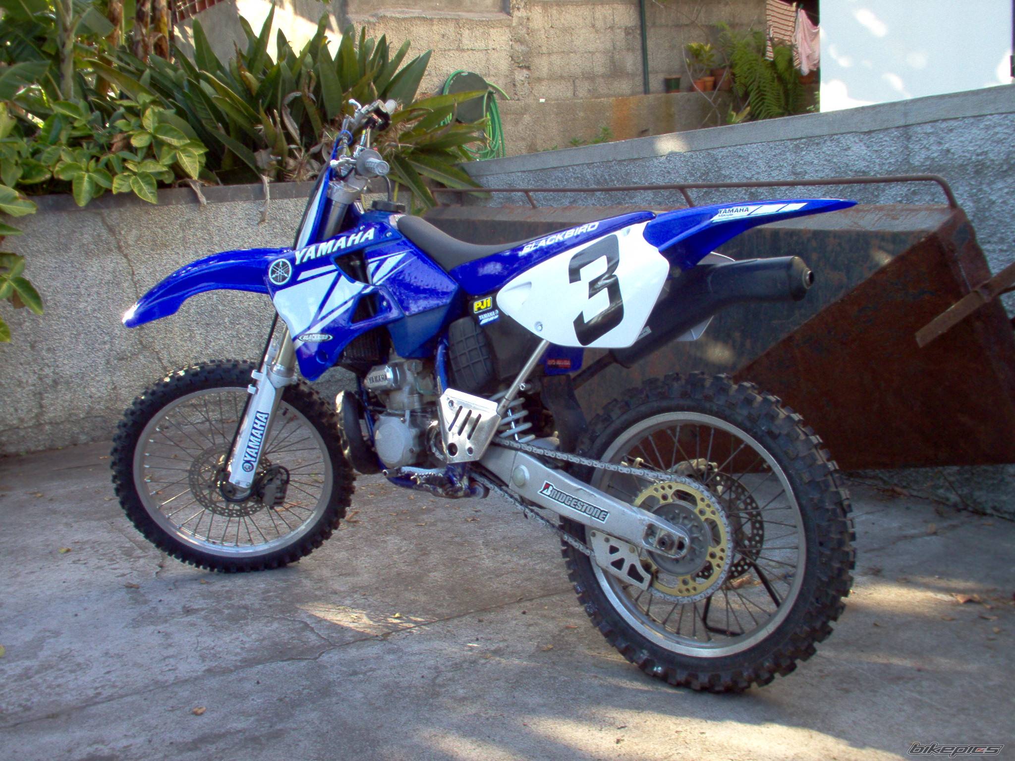 Photo 171367