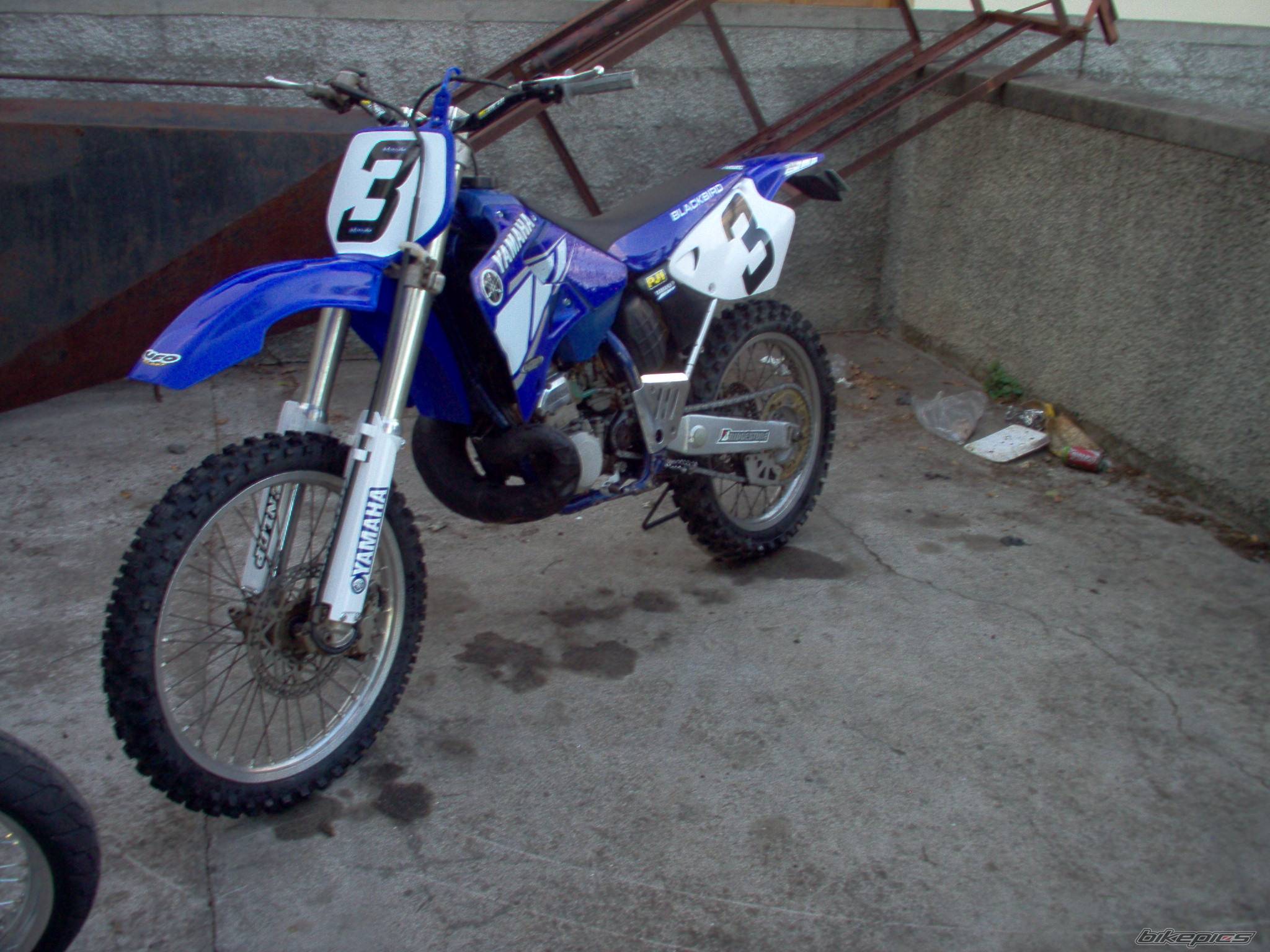 Photo 171372
