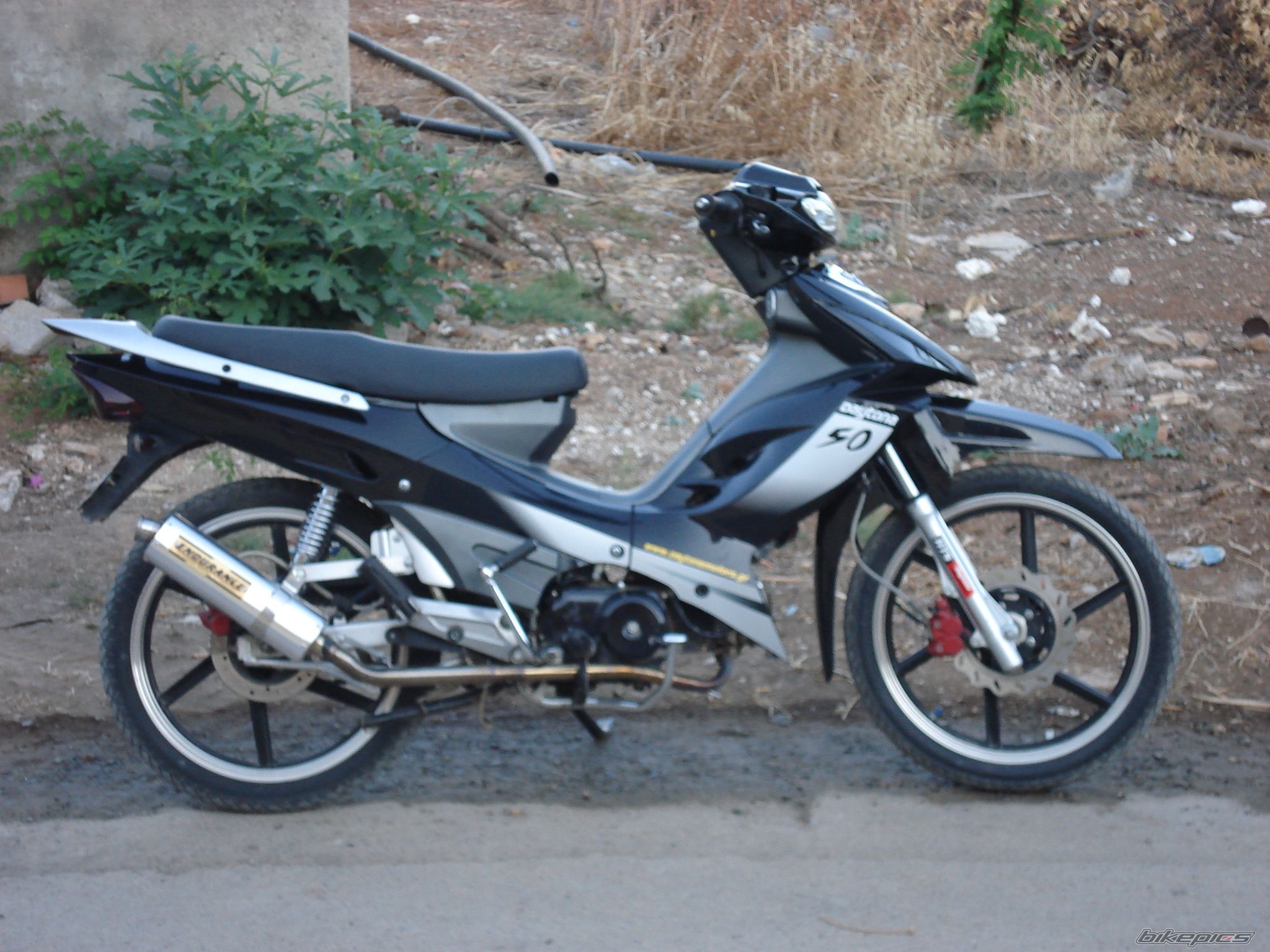 Photo 1713727