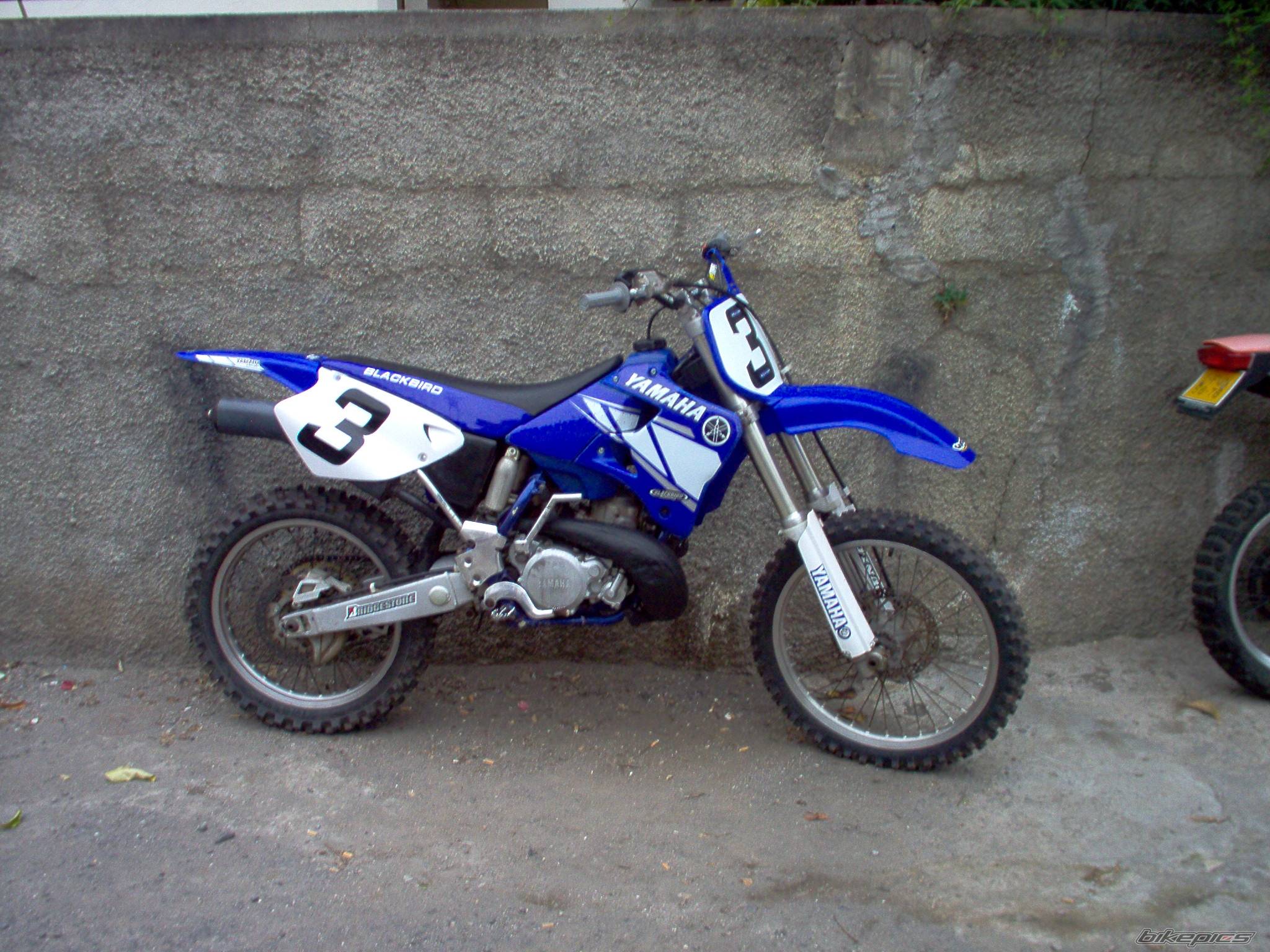 Photo 171376