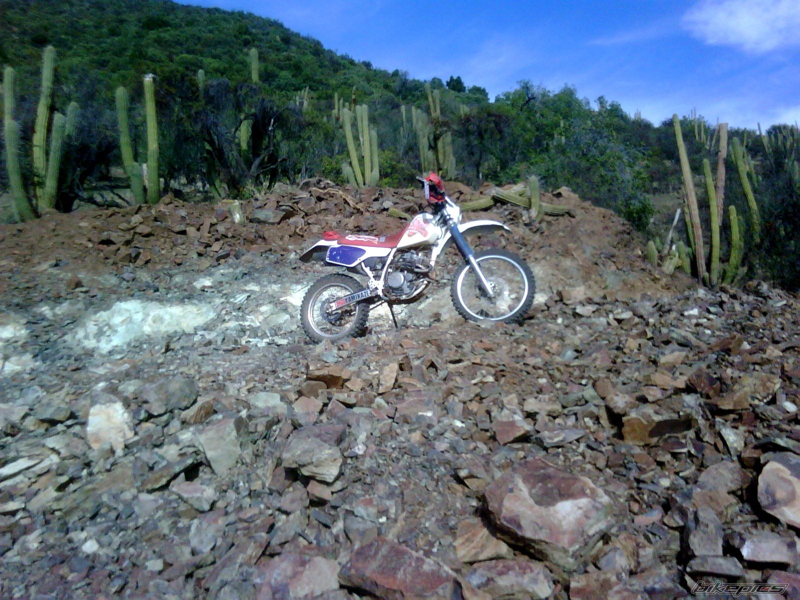 Photo 1713777