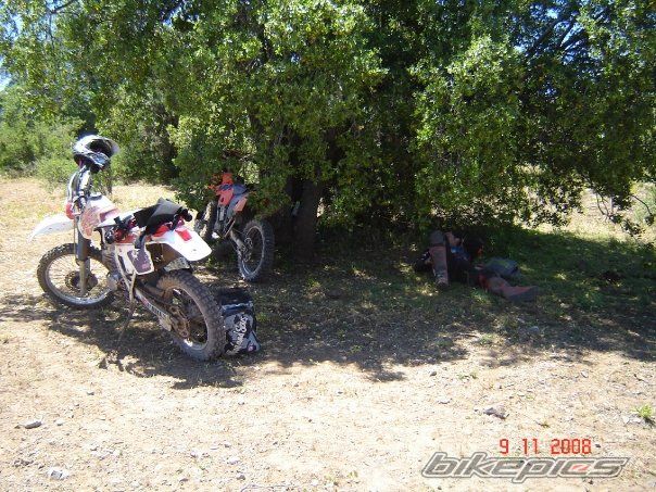 Photo 1713782