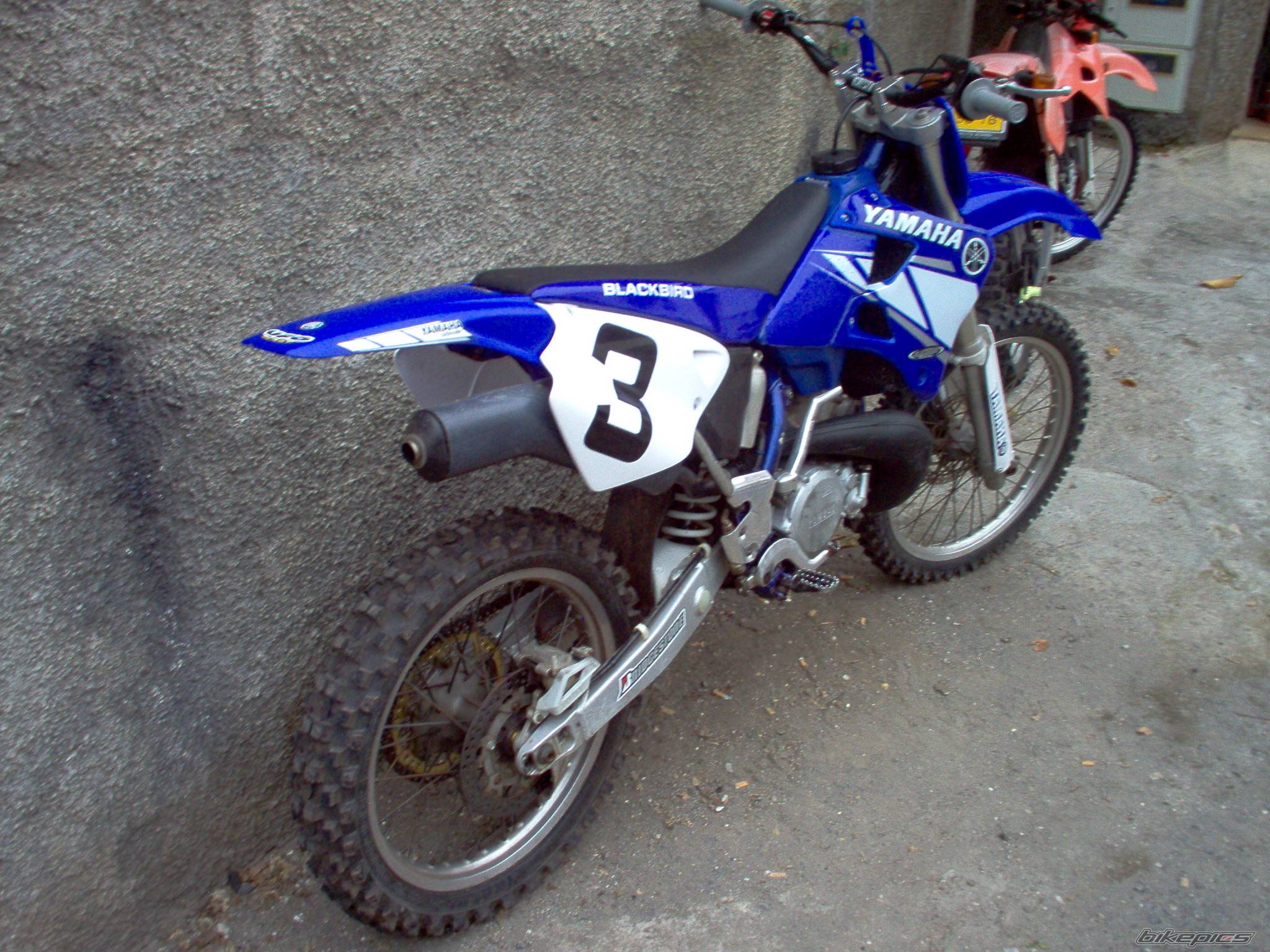 Photo 171382