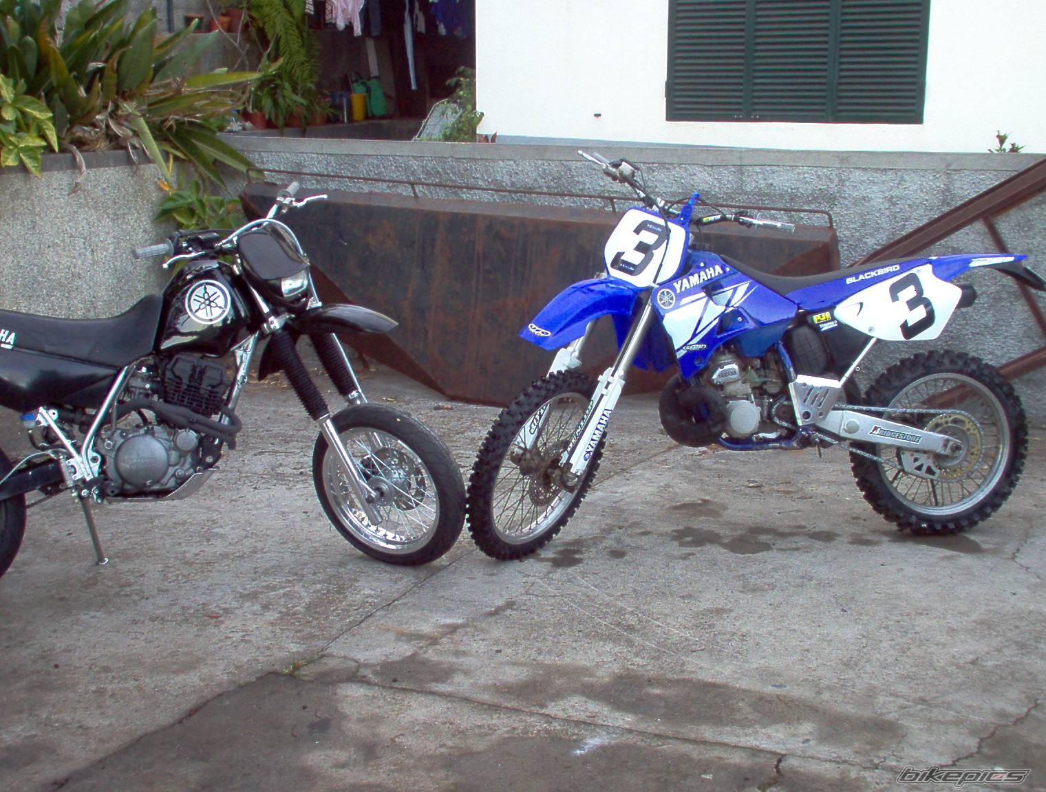 Photo 171394