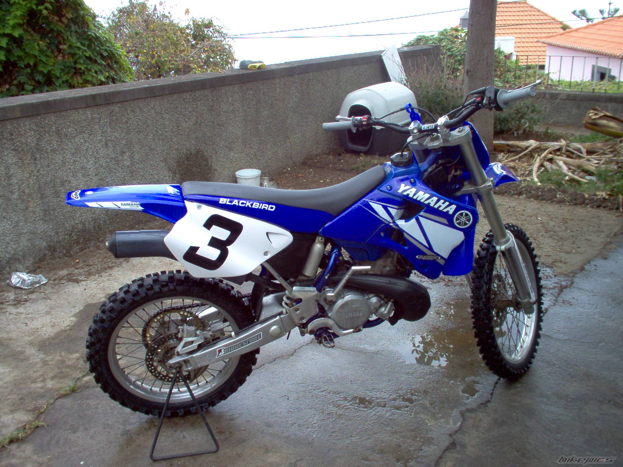Photo 171396