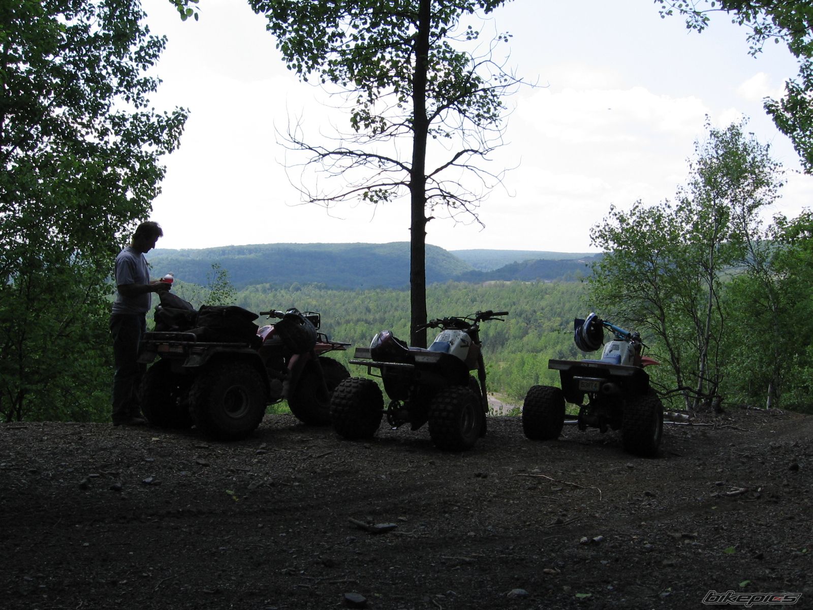 Photo 1714019
